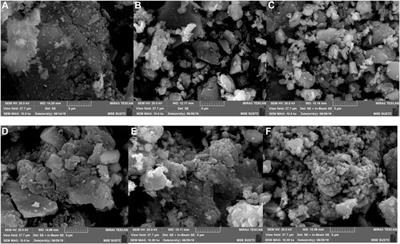 Preparation of Adsorbents by Pyrolysis of Sludge Mixed With Steel Slag and Study on Adsorption of Chromium Ions in Water